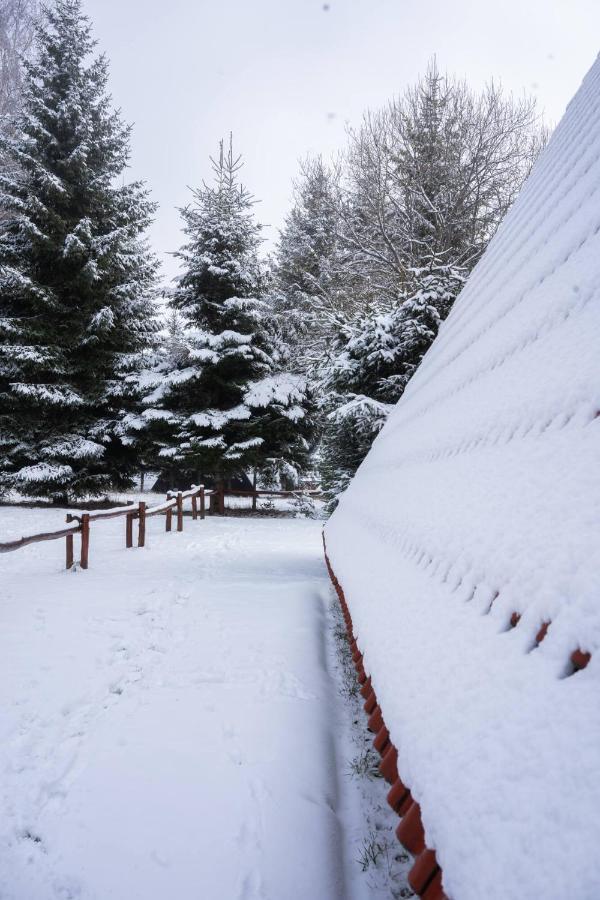 Villa Teodora Kopaonik Exterior photo